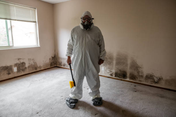 Best Mold Testing and Inspection Services in Monticello, MS
